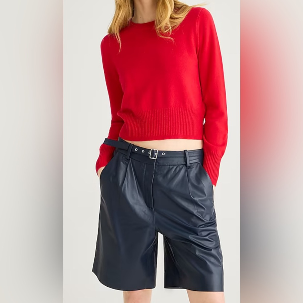NWT JCrew Cashmere shrunken crewneck sweater